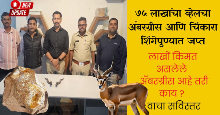 Ambergris and Chinkara Antlers Seized in Major Raid