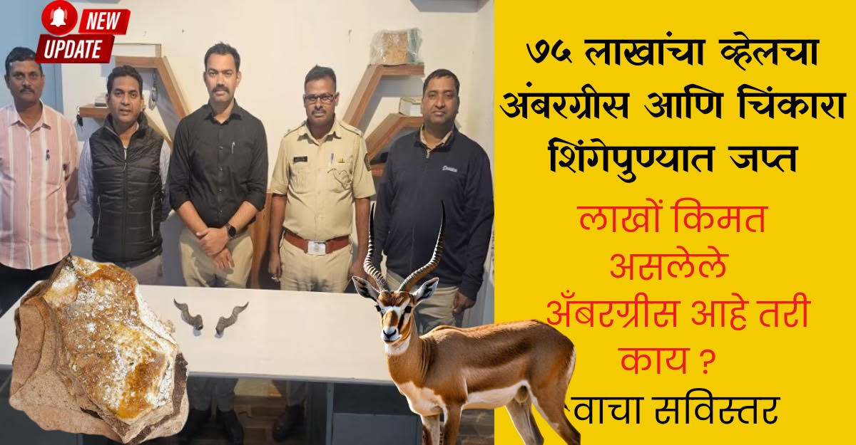 Ambergris and Chinkara Antlers Seized in Major Raid